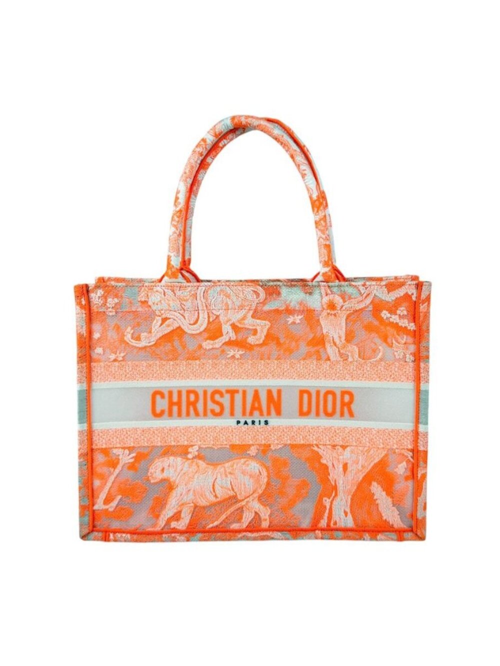 Dior Handbag Book Tote Medium